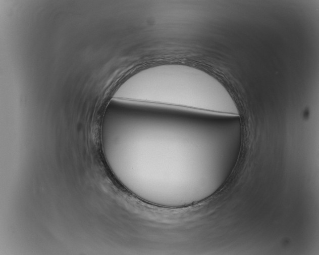 X0000115760035200911131009