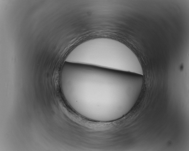 X0000115760036200911131009