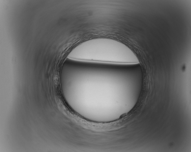X0000115760039200911131009
