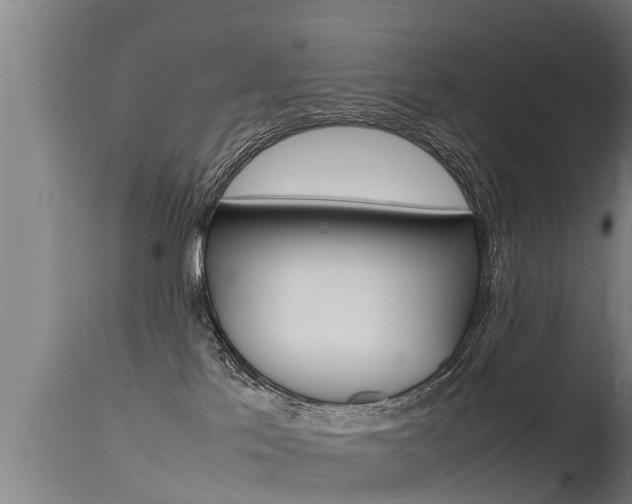 X0000115760041200911131009