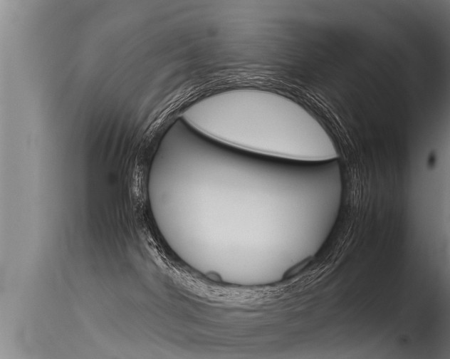 X0000115760044200911131009
