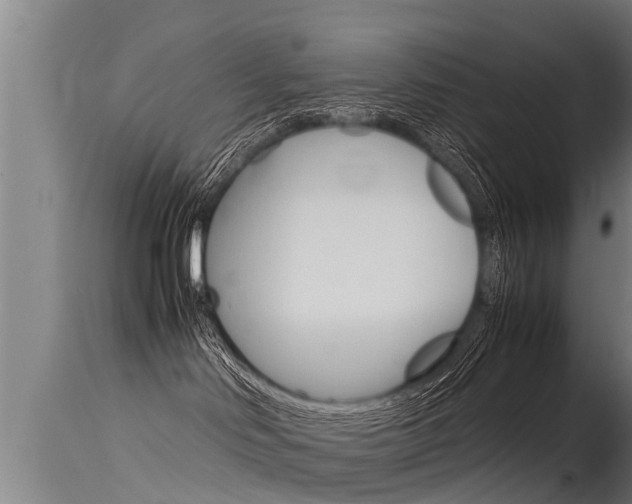 X0000115760046200911131009