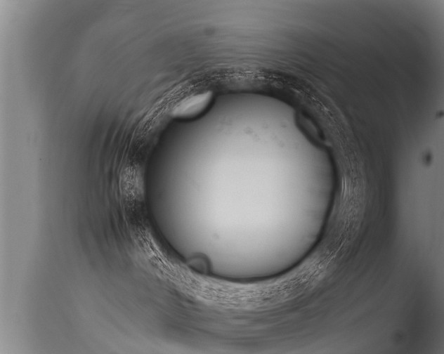 X0000115760048200911131009