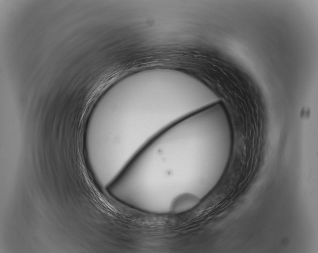 X0000115760049200911131008