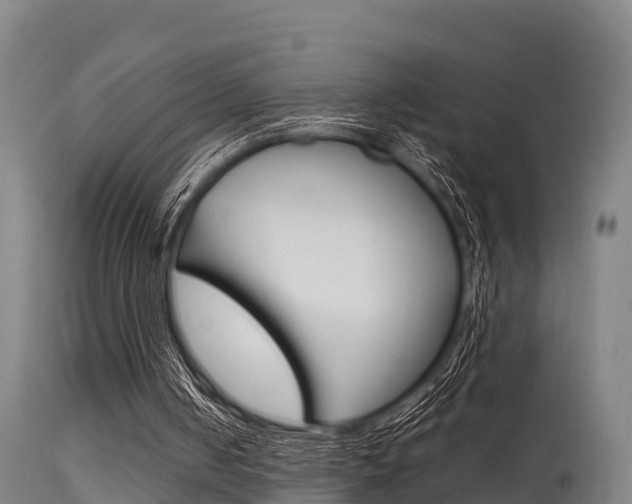X0000115760050200911131008