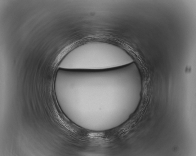 X0000115760051200911131008