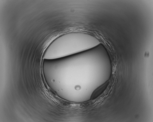 X0000115760052200911131008