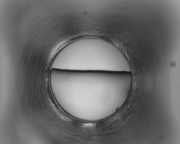 X0000115760053200911131008