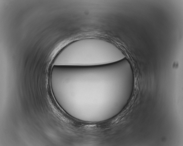 X0000115760054200911131008