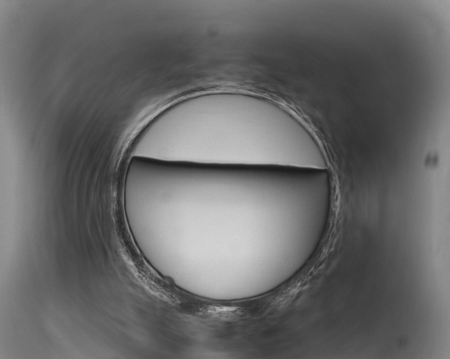 X0000115760055200911131008