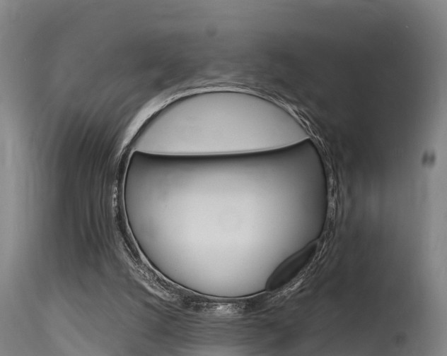 X0000115760056200911131008