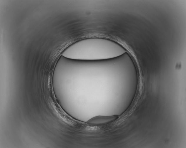 X0000115760057200911131008