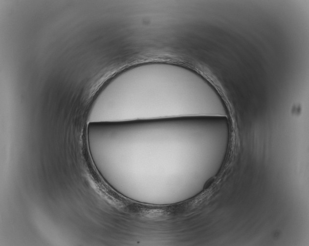 X0000115760058200911131008