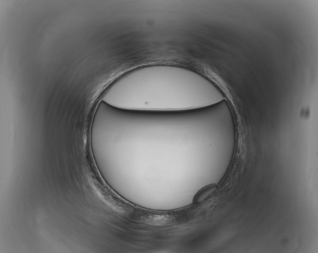 X0000115760059200911131008