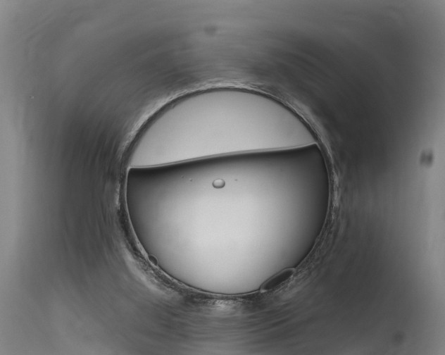 X0000115760060200911131009