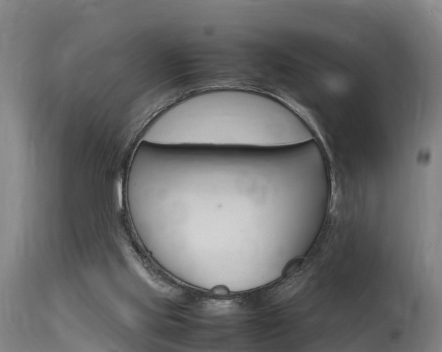 X0000115760061200911131009