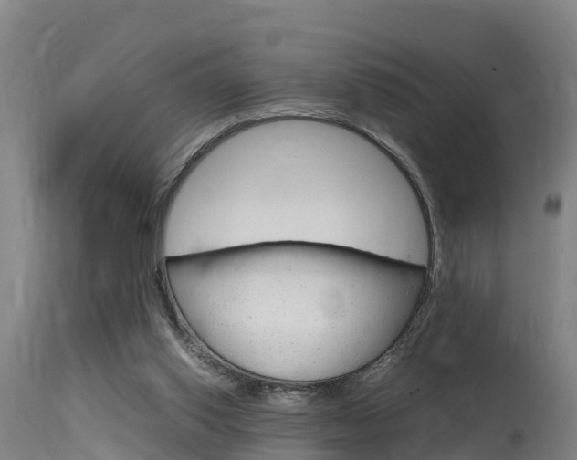 X0000115760062200911131009