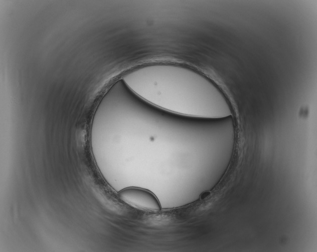X0000115760063200911131009