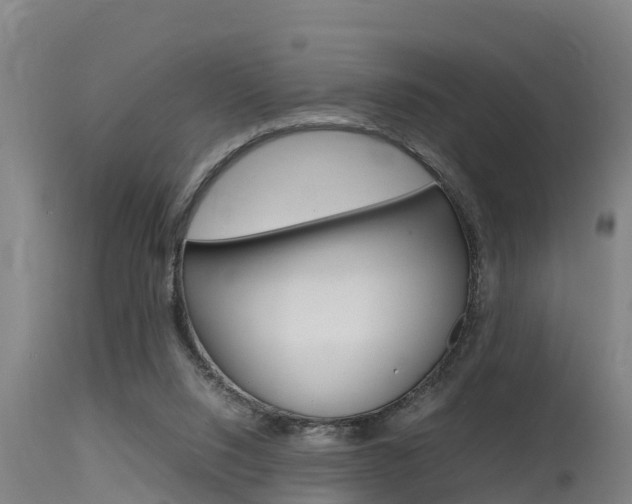 X0000115760064200911131009