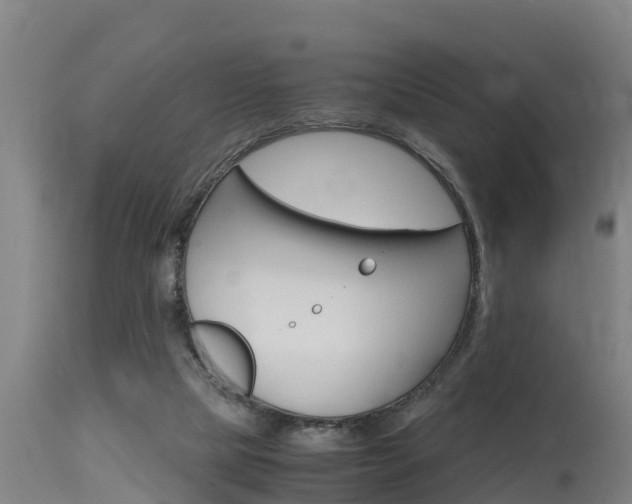 X0000115760065200911131009