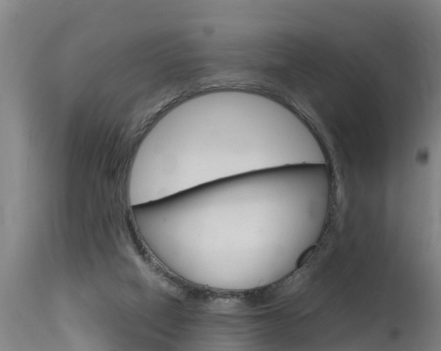 X0000115760066200911131009