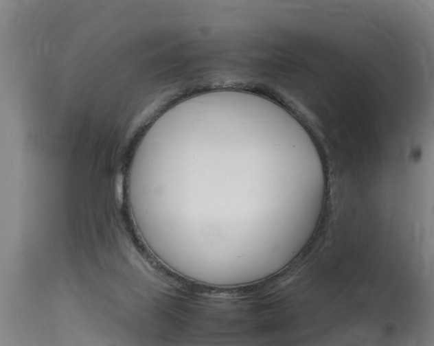 X0000115760067200911131009