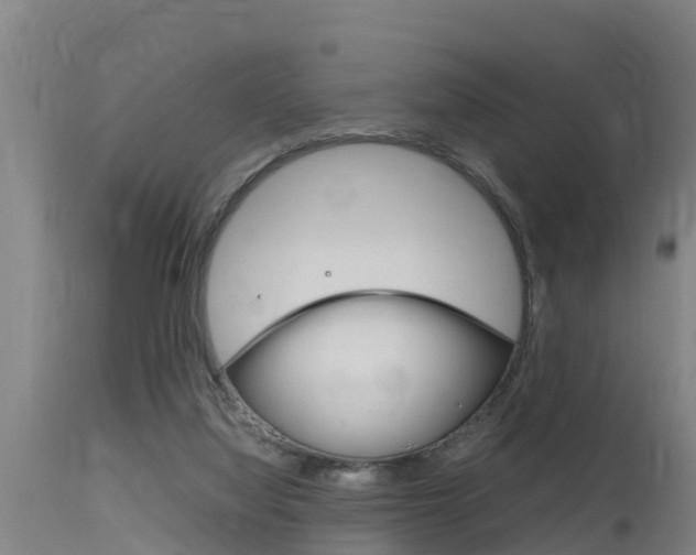 X0000115760068200911131009