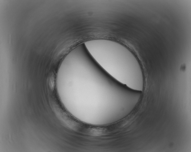 X0000115760069200911131009