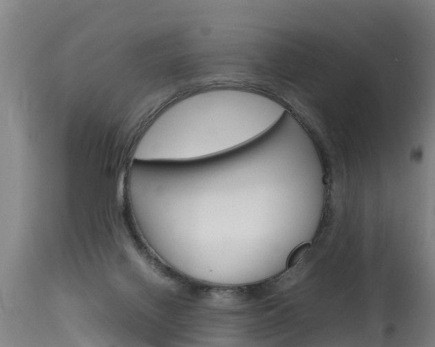 X0000115760070200911131009