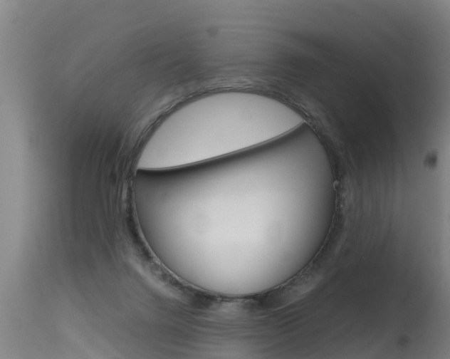 X0000115760072200911131009