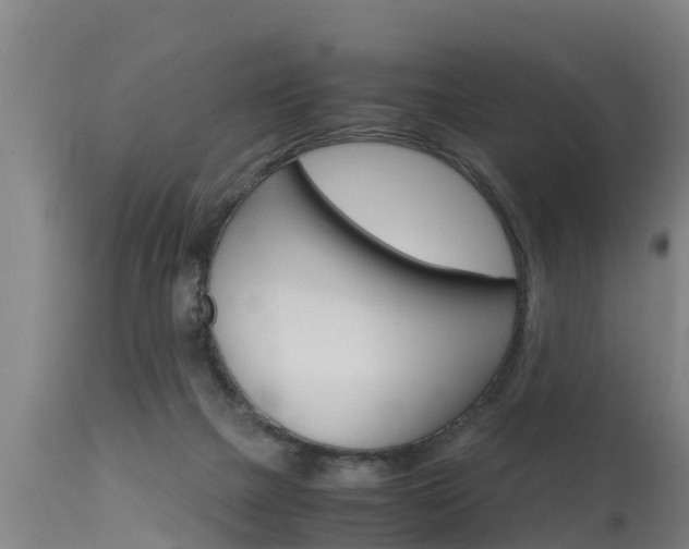 X0000115760073200911131009