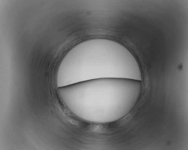 X0000115760074200911131009