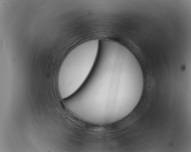 X0000115760075200911131009