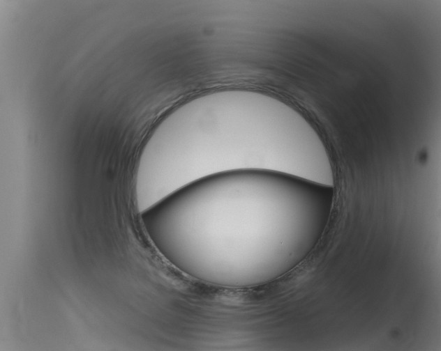 X0000115760076200911131009