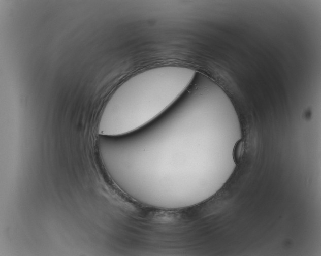 X0000115760077200911131009