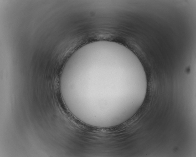 X0000115760079200911131009