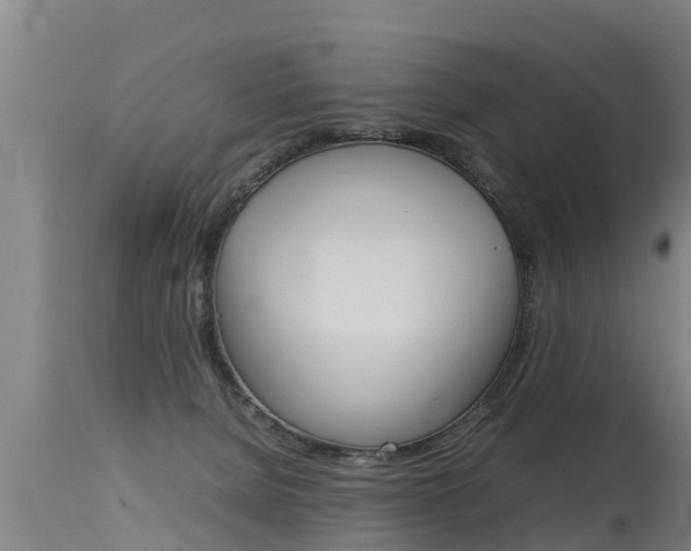 X0000115760080200911131009