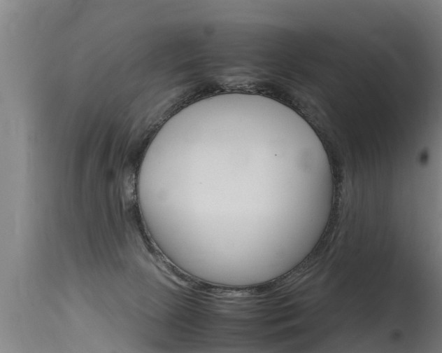 X0000115760081200911131009