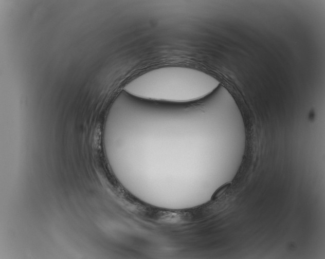 X0000115760083200911131009