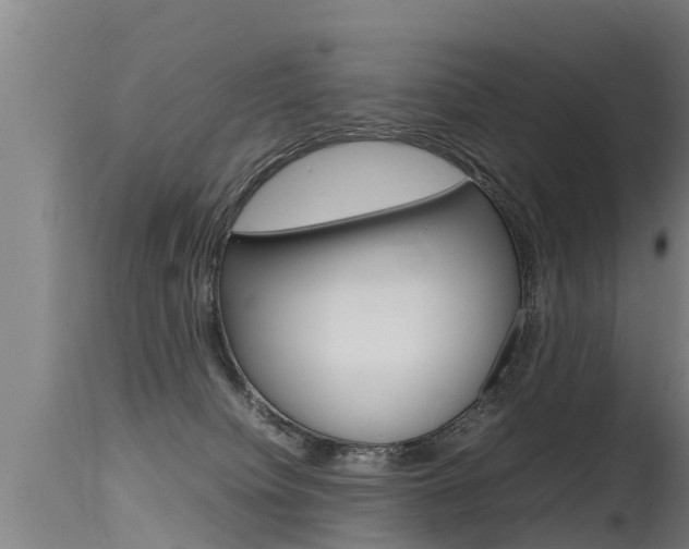 X0000115760084200911131009