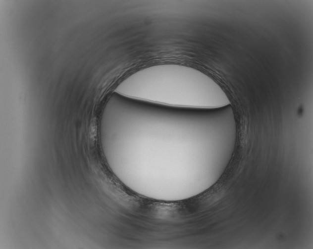 X0000115760085200911131009