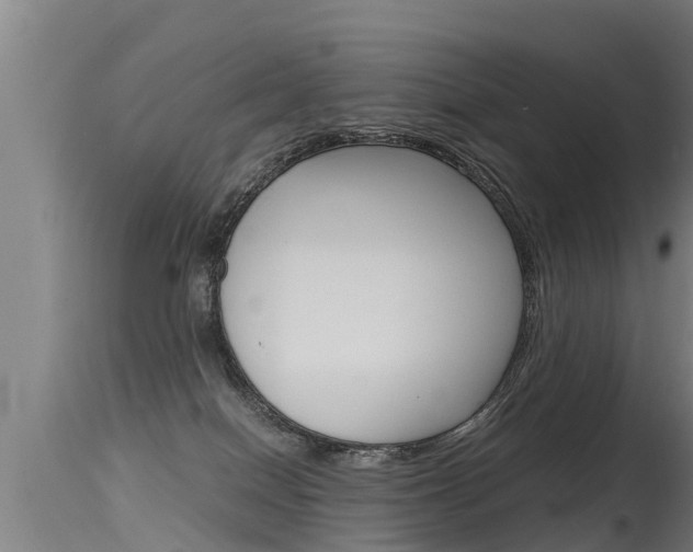 X0000115760086200911131009