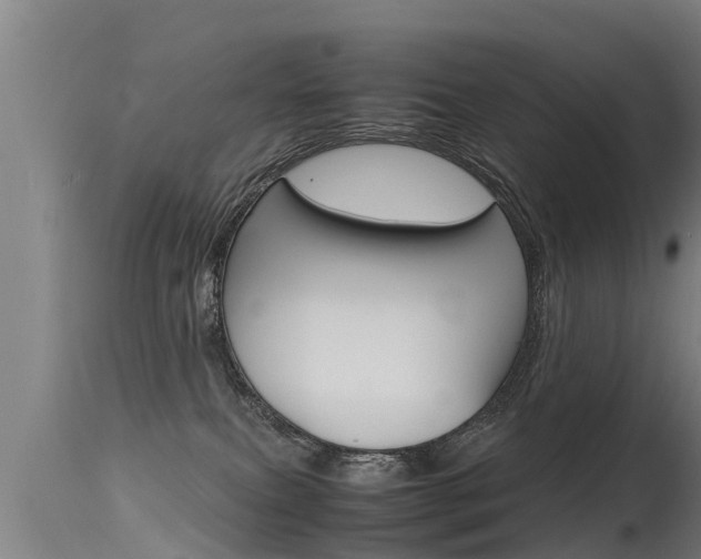 X0000115760087200911131009