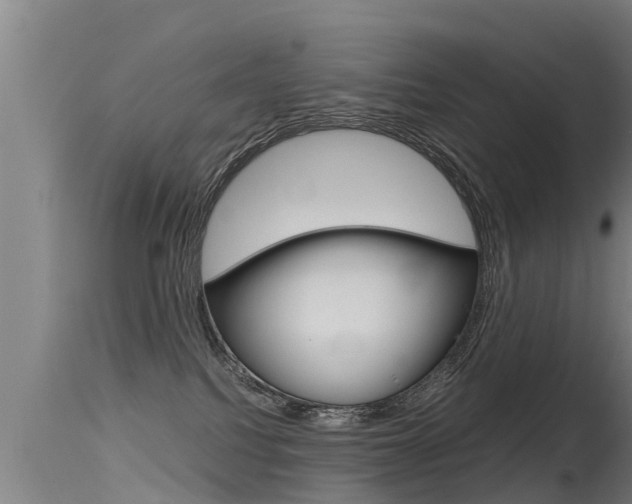 X0000115760088200911131009