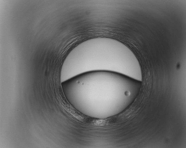 X0000115760092200911131009
