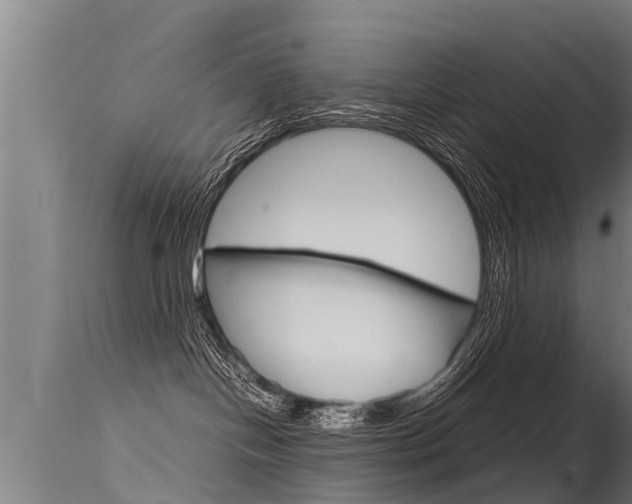 X0000115760094200911131009