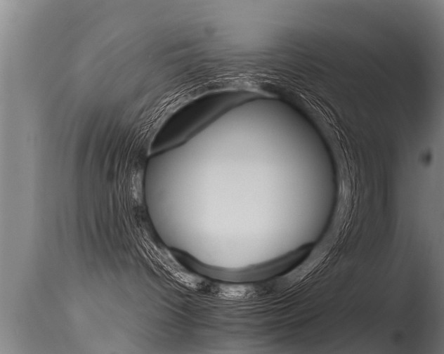 X0000115760096200911131009