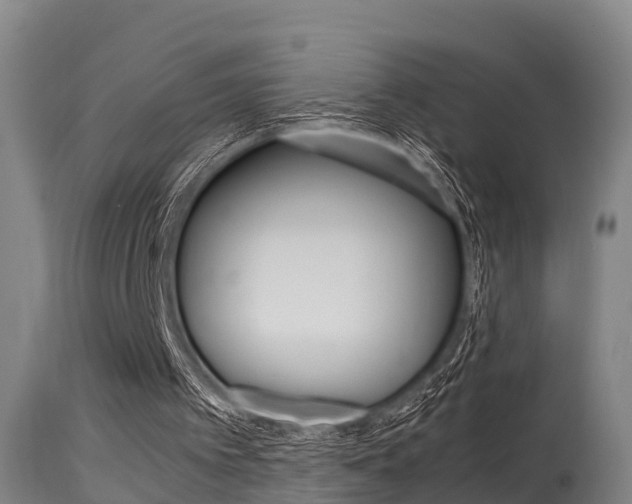 X0000115760097200911131008