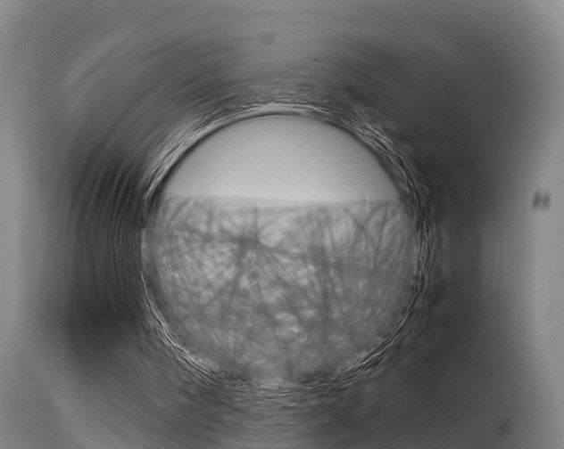 X0000115760098200911131008