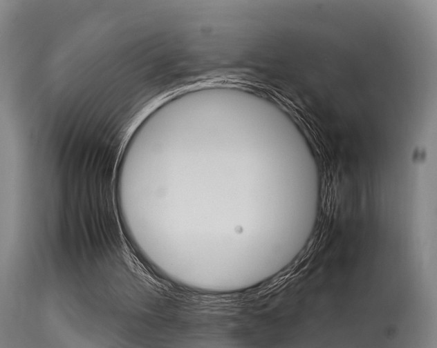X0000115760100200911131008